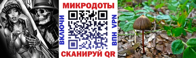 omg ONION Дятьково Галлюциногенные грибы мицелий купить закладку